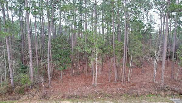0.44 Acres of Residential Land for Sale in Milton, Florida