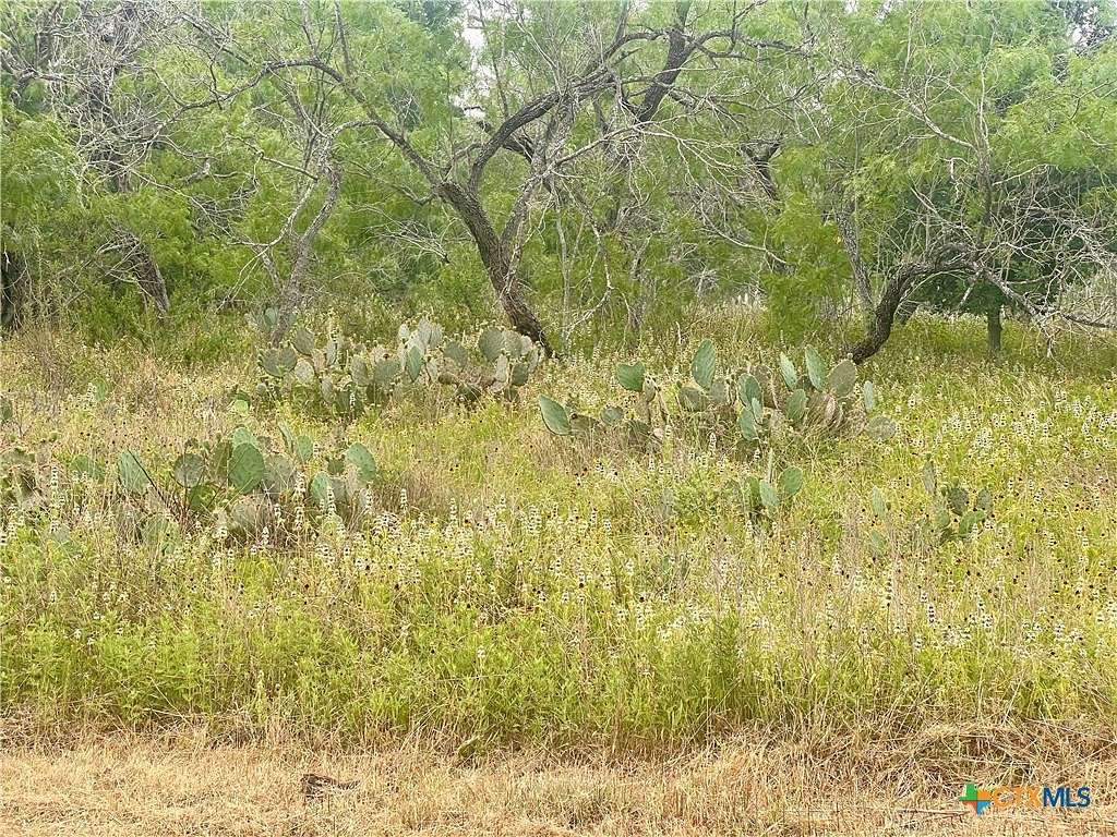 1 Acre of Residential Land for Sale in Smiley, Texas