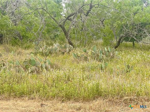 1 Acre of Residential Land for Sale in Smiley, Texas