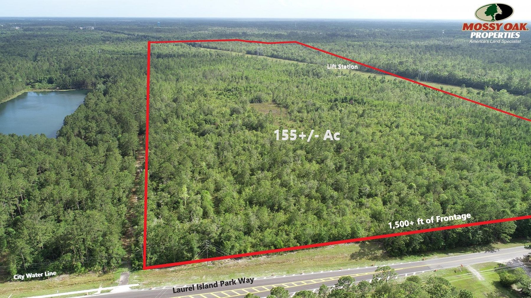 156 Acres of Land for Sale in Kingsland, Georgia