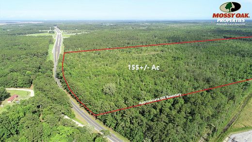 156 Acres of Land for Sale in Kingsland, Georgia