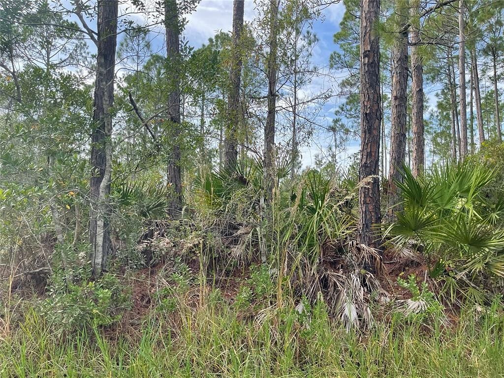 0.95 Acres of Residential Land for Sale in Bunnell, Florida