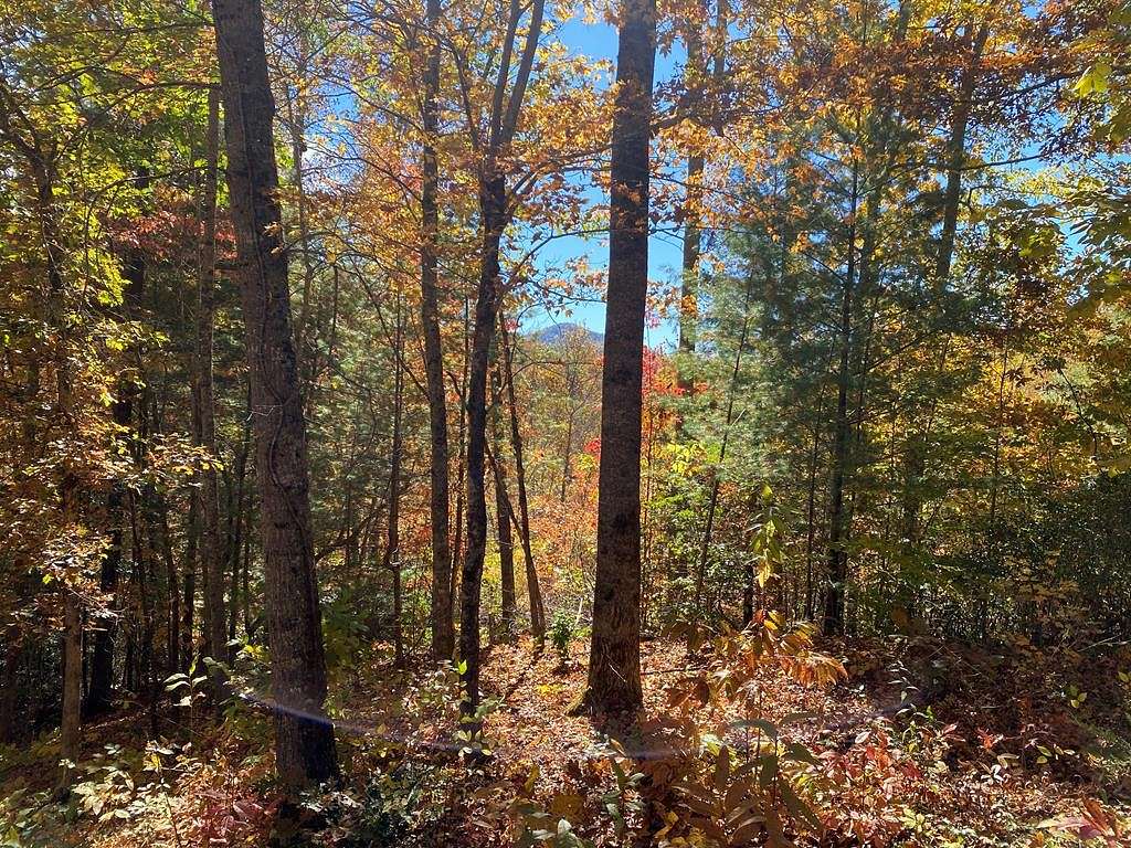 0.95 Acres of Residential Land for Sale in Sylva, North Carolina