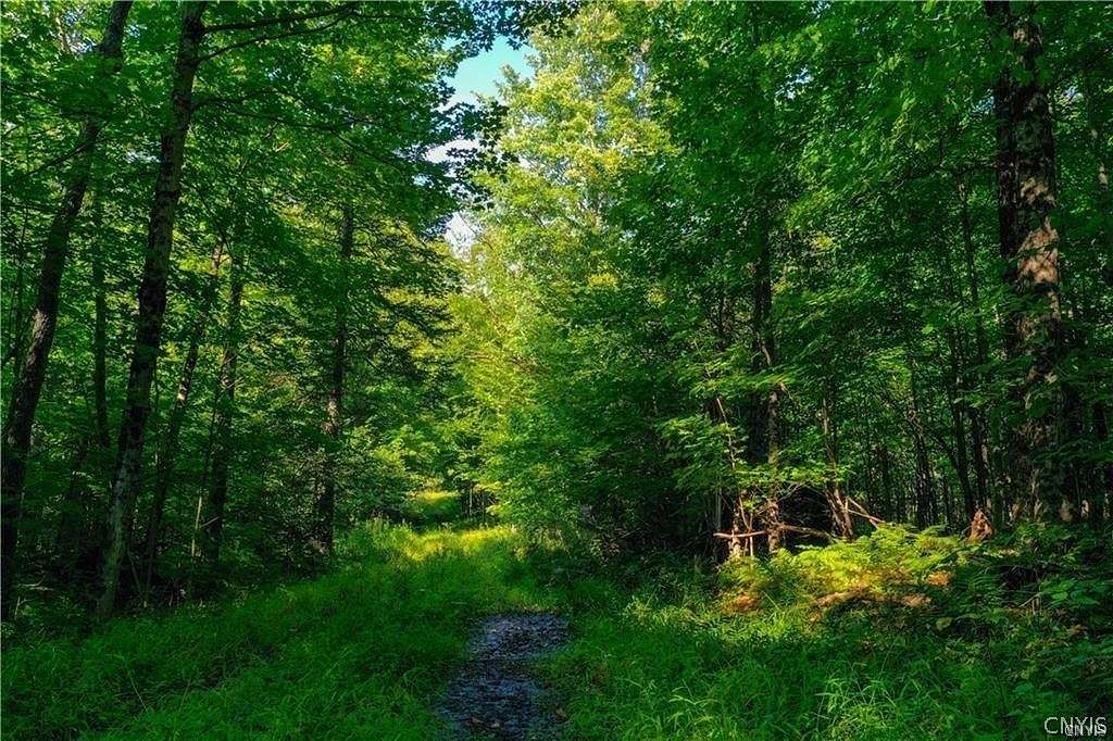 129 Acres of Recreational Land for Sale in Ohio, New York