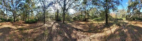 14.1 Acres of Land for Sale in New Port Richey, Florida