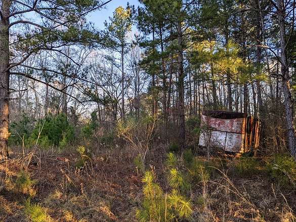 3.8 Acres of Commercial Land for Sale in Abbeville, Georgia