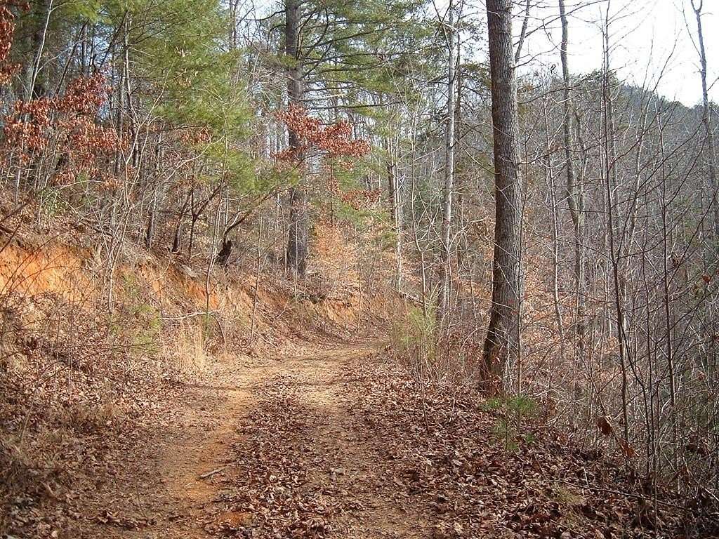 4.2 Acres of Residential Land for Sale in Tuckasegee, North Carolina