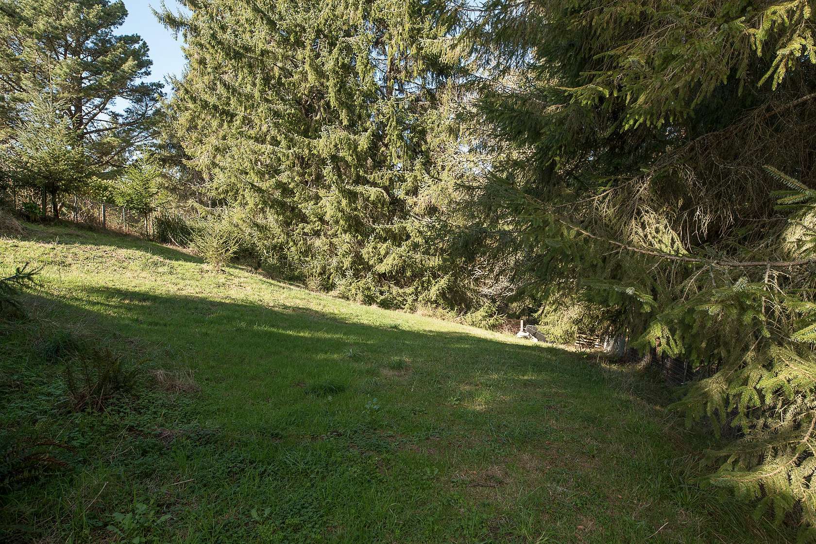 2.8 Acres of Residential Land for Sale in Humboldt Hill, California