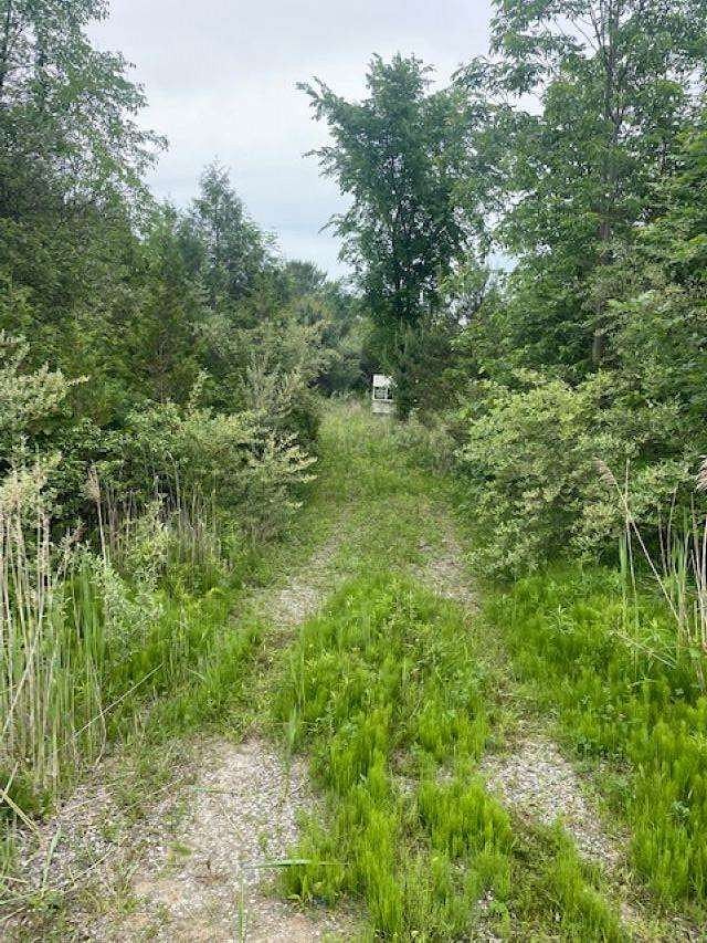 18.1 Acres of Land for Sale in Lexington, Michigan