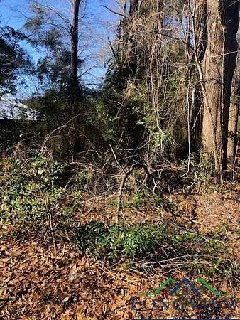 0.02 Acres of Residential Land for Sale in Henderson, Texas