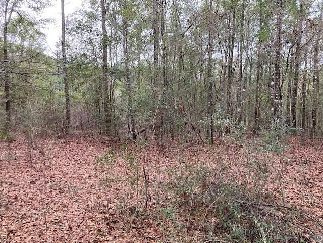 0.57 Acres of Residential Land for Sale in Andalusia, Alabama