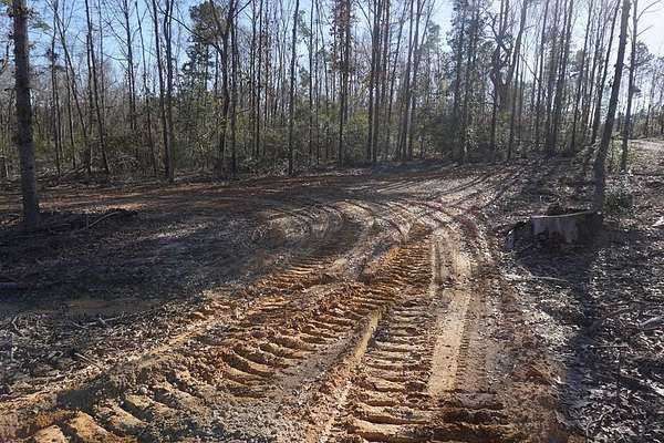 17 Acres of Land for Sale in Buffalo, Texas