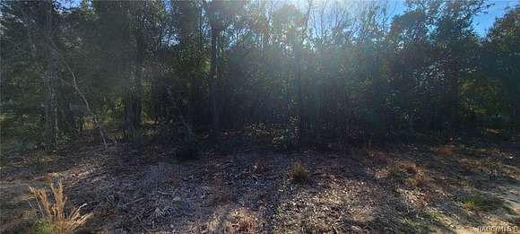 0.54 Acres of Residential Land for Sale in Inverness, Florida