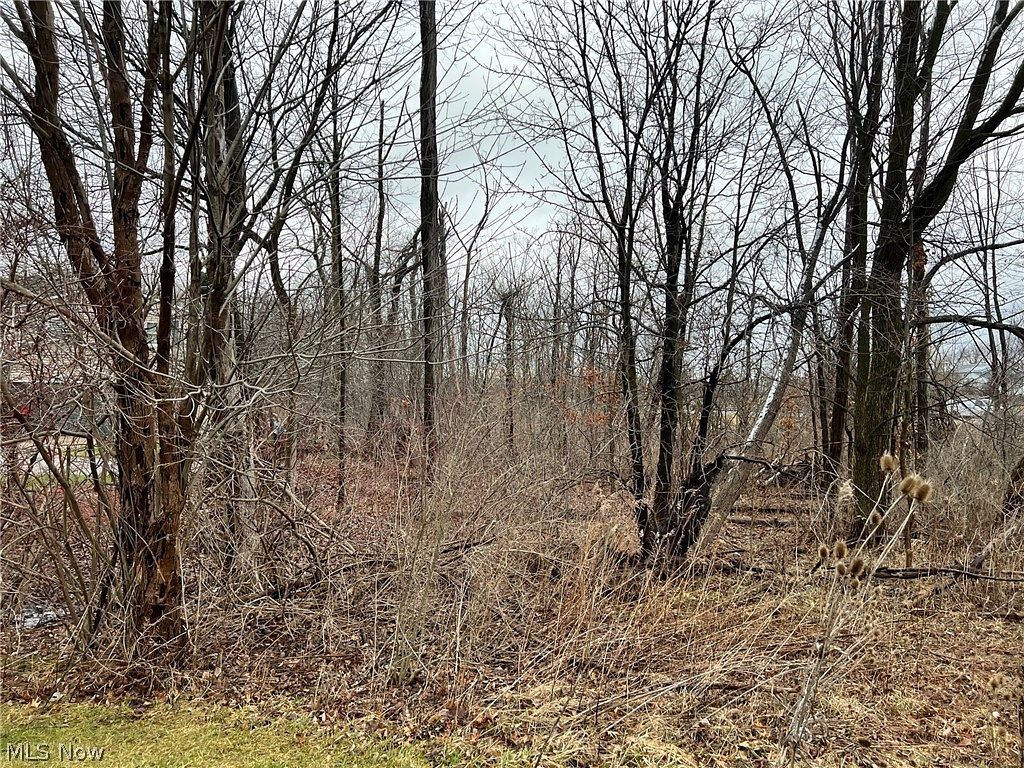 0.76 Acres of Residential Land for Sale in Strongsville, Ohio
