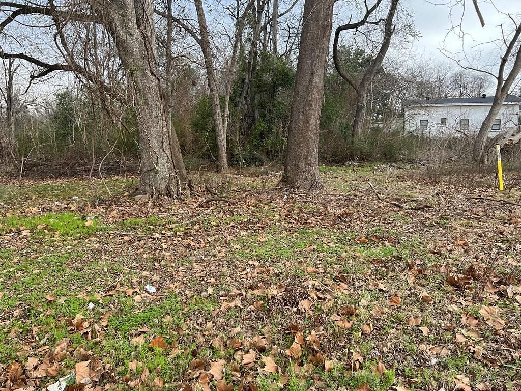 0.17 Acres of Residential Land for Sale in Palestine, Texas