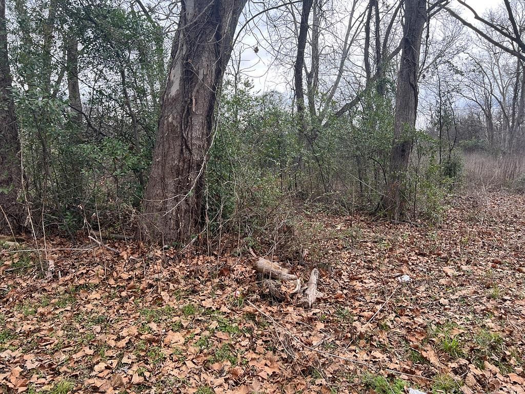 0.13 Acres of Land for Sale in Palestine, Texas