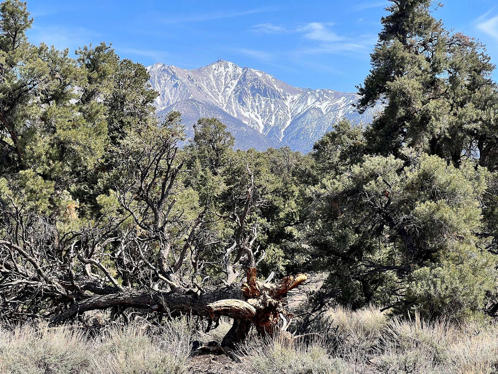 600 Acres of Recreational Land & Farm for Sale in Luning, Nevada