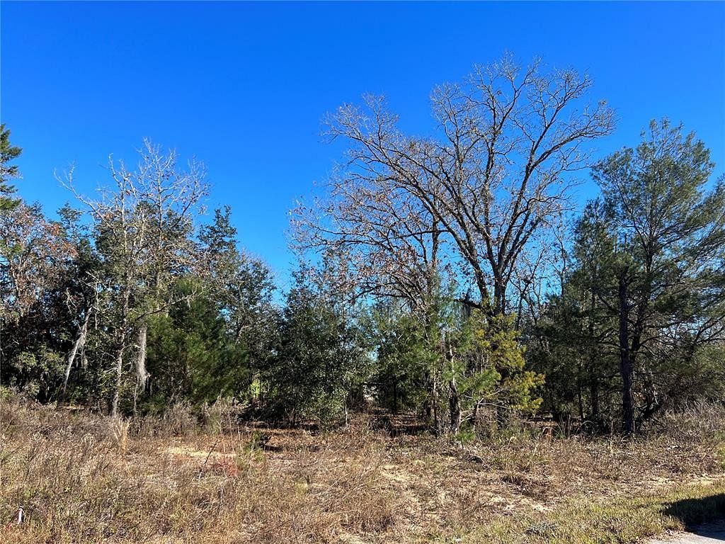 0.31 Acres of Residential Land for Sale in Ocklawaha, Florida