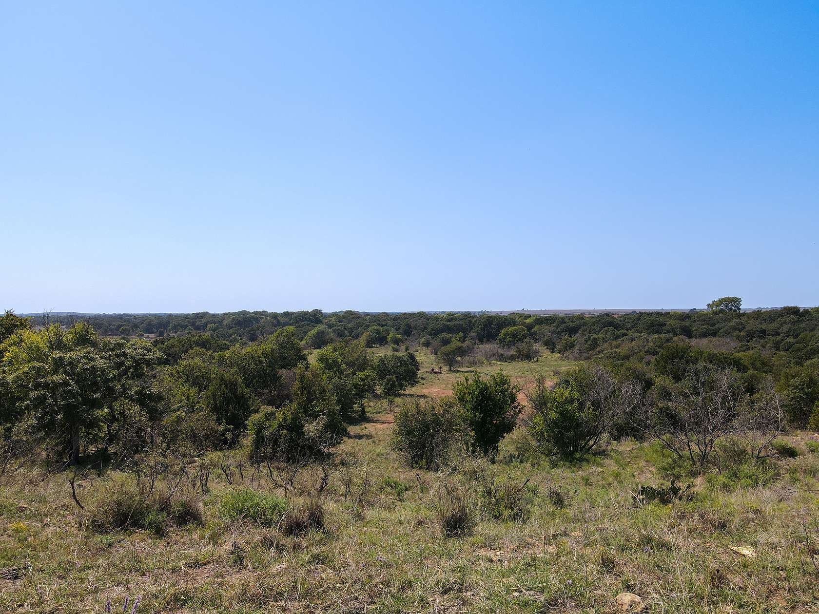 95.5 Acres of Recreational Land & Farm for Sale in Ringgold, Texas