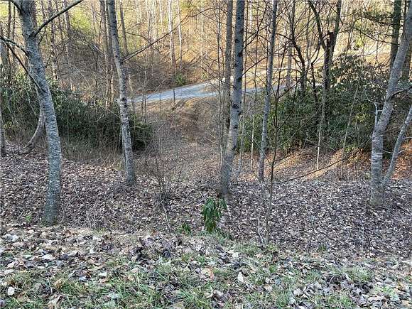 5 Acres of Residential Land for Sale in Bryson City, North Carolina