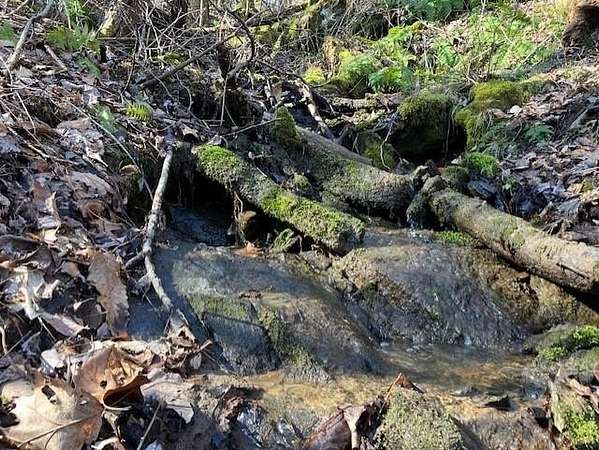 2 Acres of Residential Land for Sale in Waynesville, North Carolina