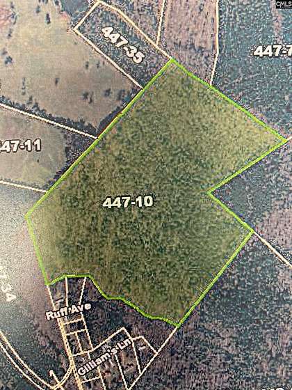 70 Acres of Land for Sale in Newberry, South Carolina