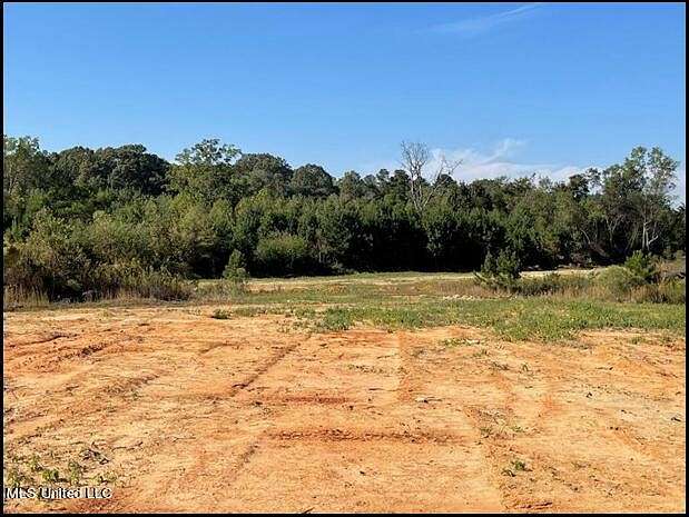 80.5 Acres of Land for Sale in Ridgeland, Mississippi