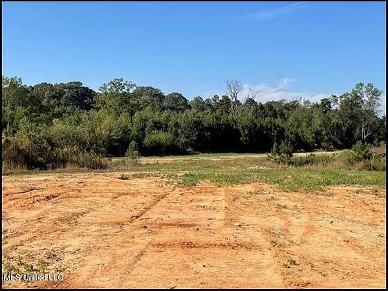 80.5 Acres of Land for Sale in Ridgeland, Mississippi