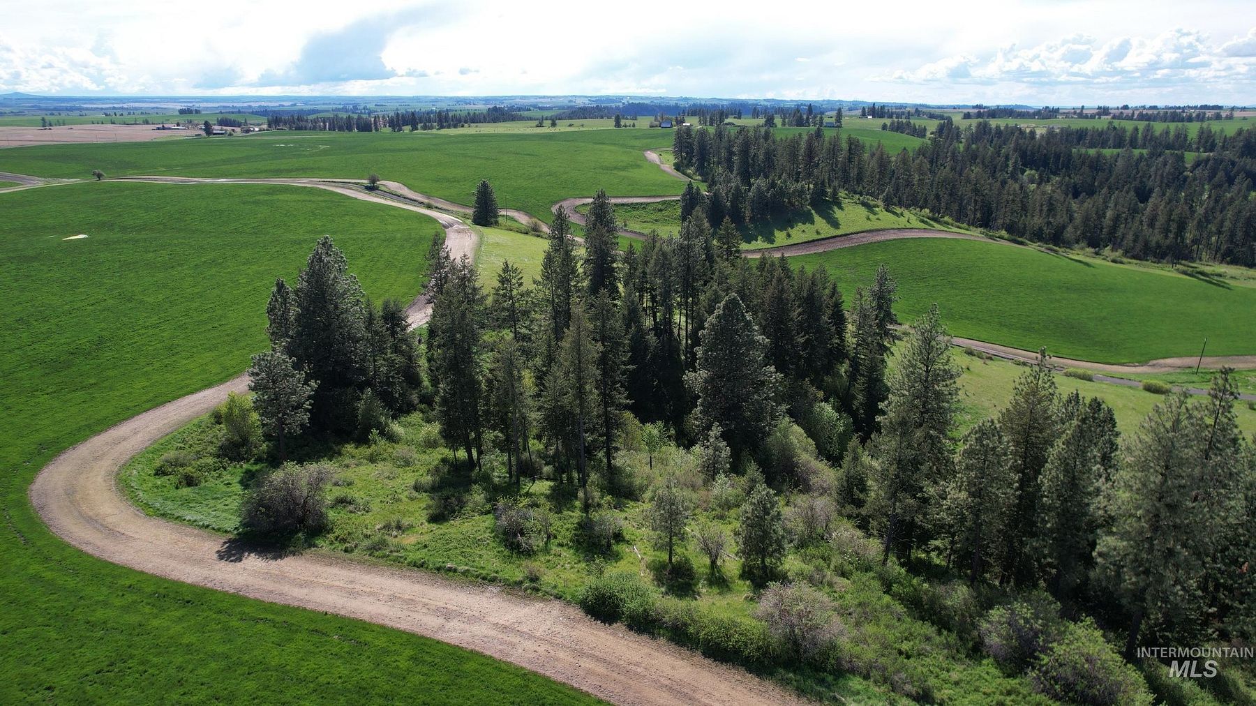 381 Acres of Agricultural Land for Sale in Orofino, Idaho