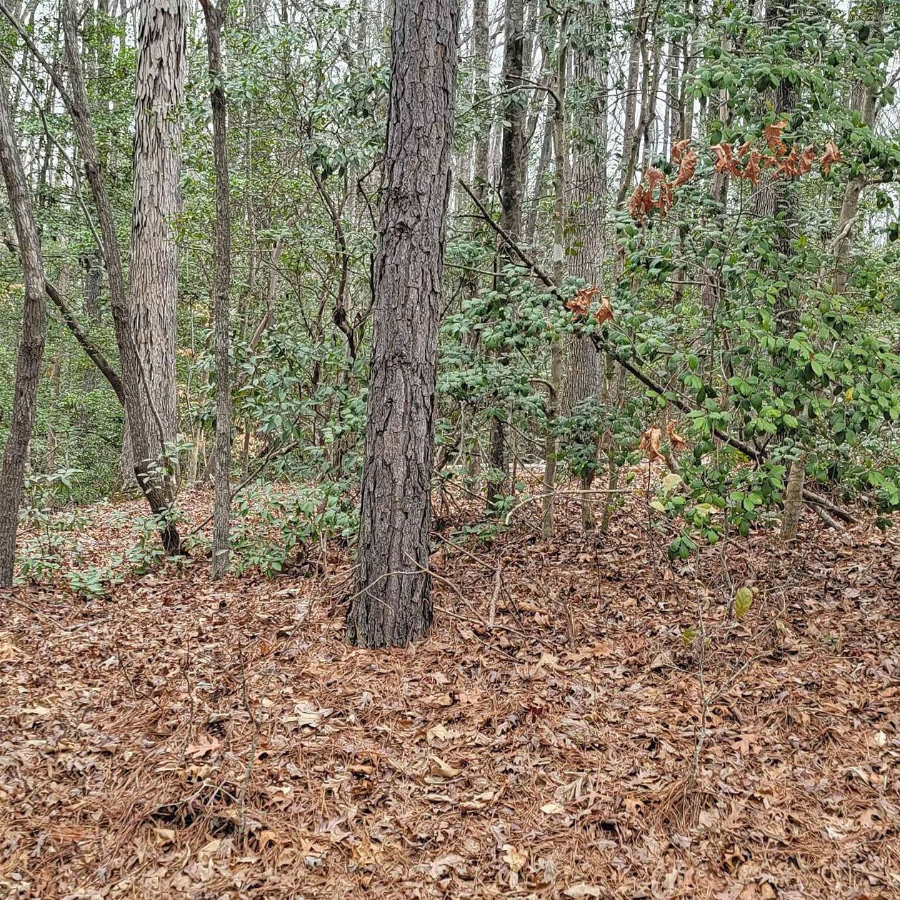 1.4 Acres of Land for Sale in Louisburg, North Carolina