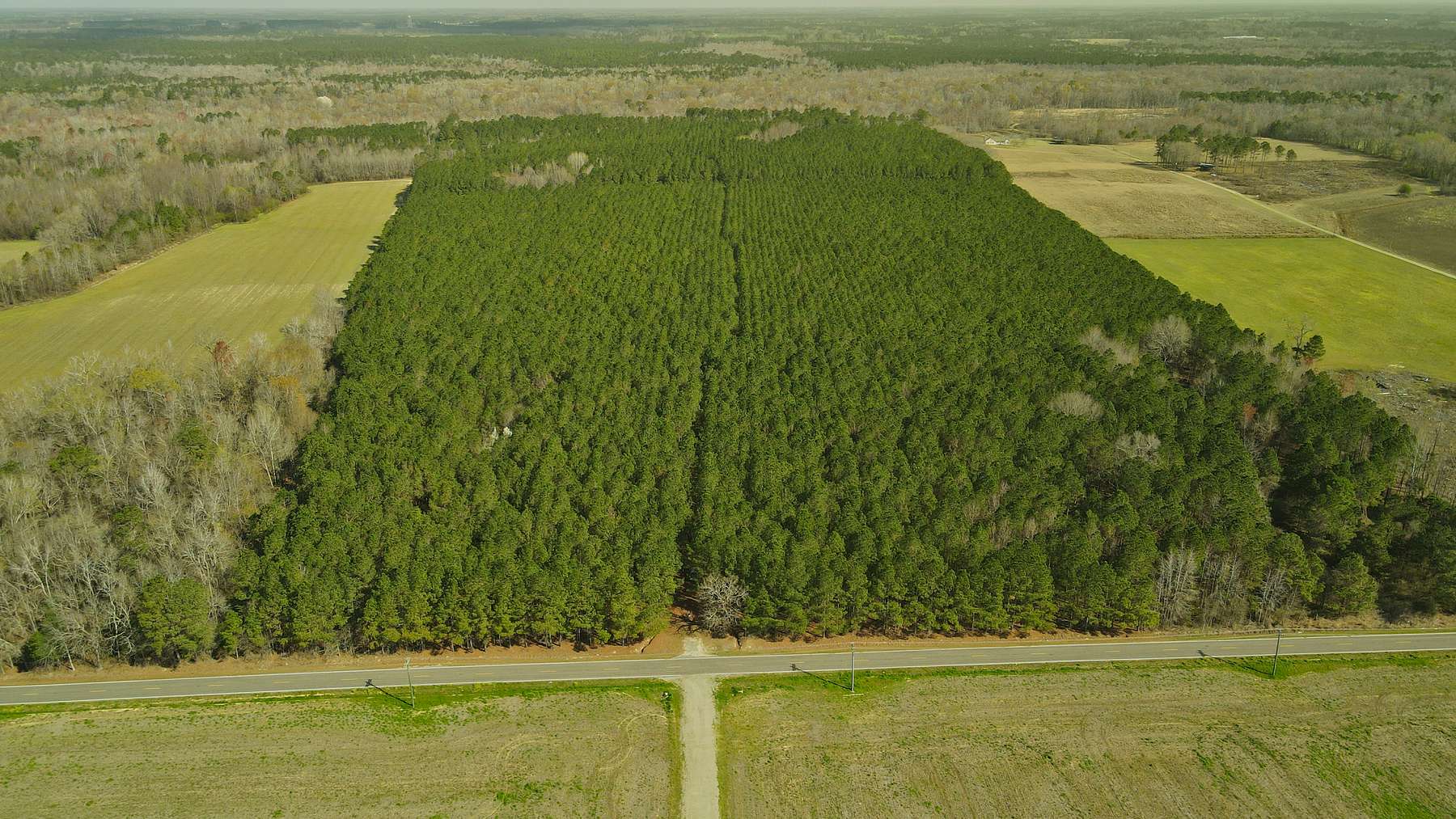 124 Acres of Recreational Land for Sale in Fork, South Carolina
