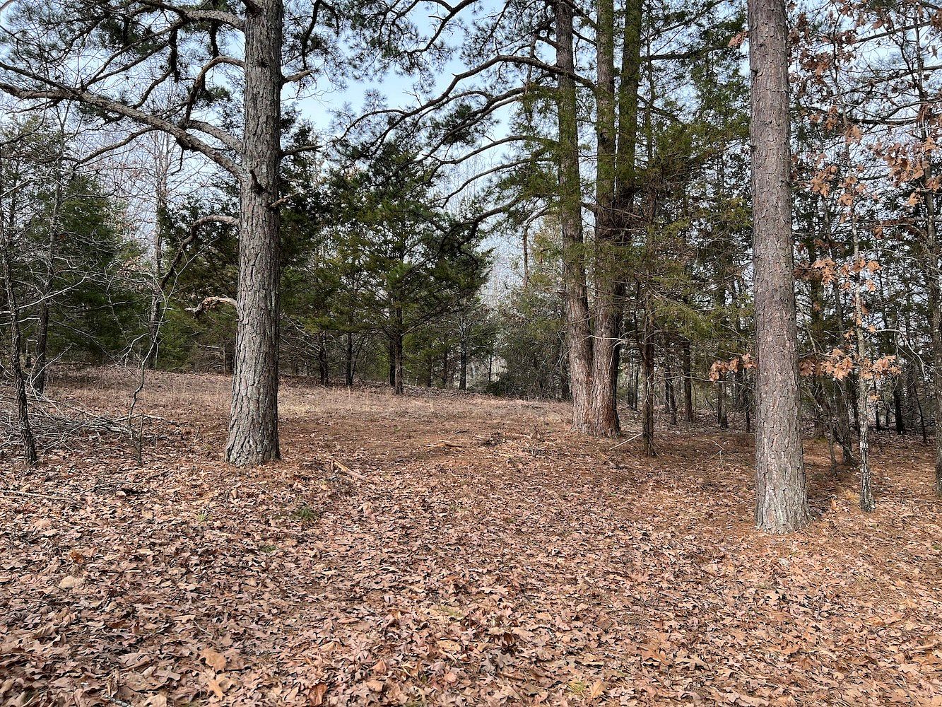 20 Acres of Land for Sale in Mammoth Spring, Arkansas