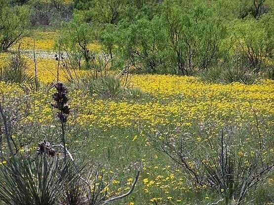 3 Acres of Land for Sale in Amarillo, Texas