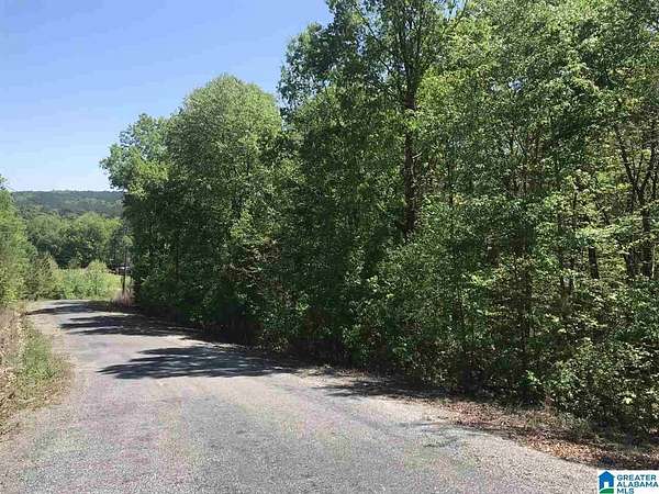 2 Acres of Residential Land for Sale in Ashville, Alabama