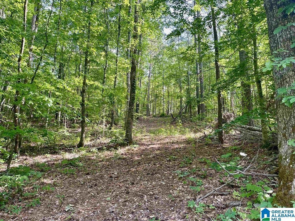 34 Acres of Land for Sale in Odenville, Alabama