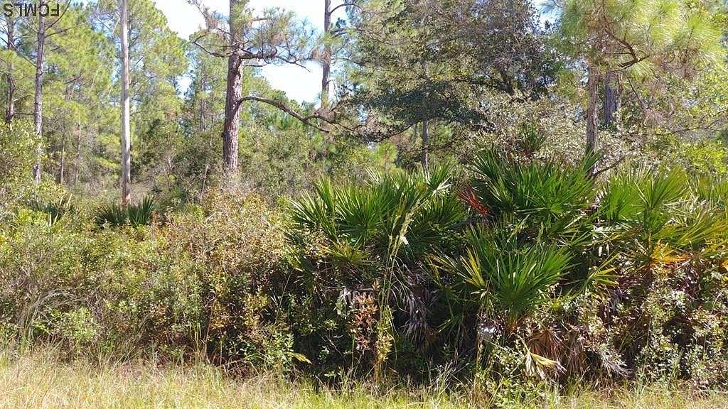 0.99 Acres of Residential Land for Sale in Bunnell, Florida