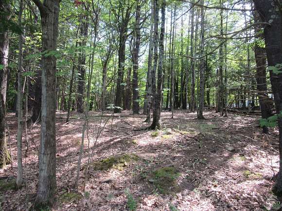 1.8 Acres of Land for Sale in East Durham, New York