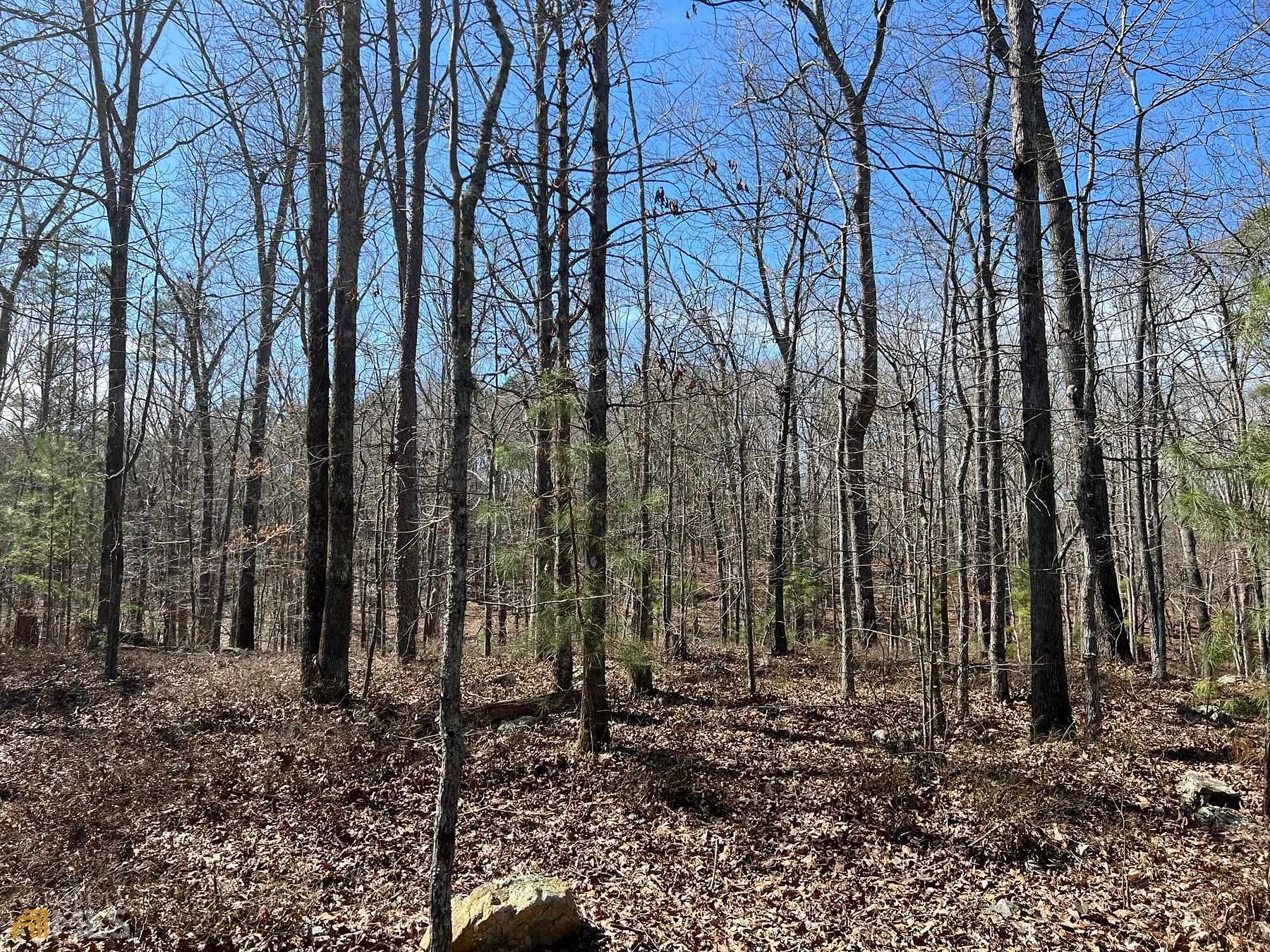 6.1 Acres of Residential Land for Sale in Rome, Georgia