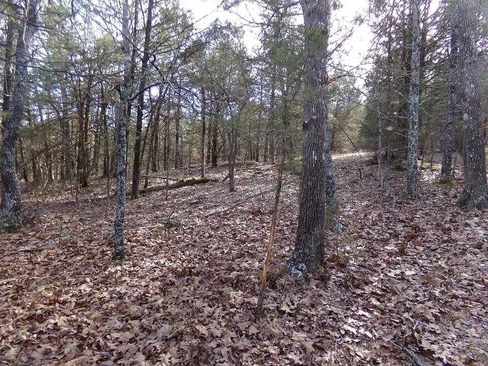 150 Acres of Recreational Land for Sale in Gainesville, Missouri