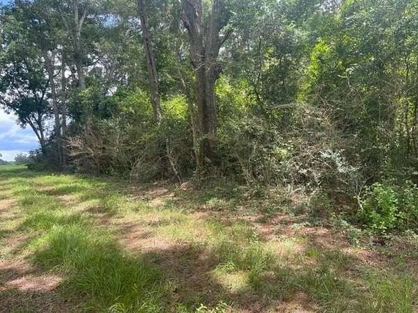 17.5 Acres of Commercial Land for Sale in Andalusia, Alabama