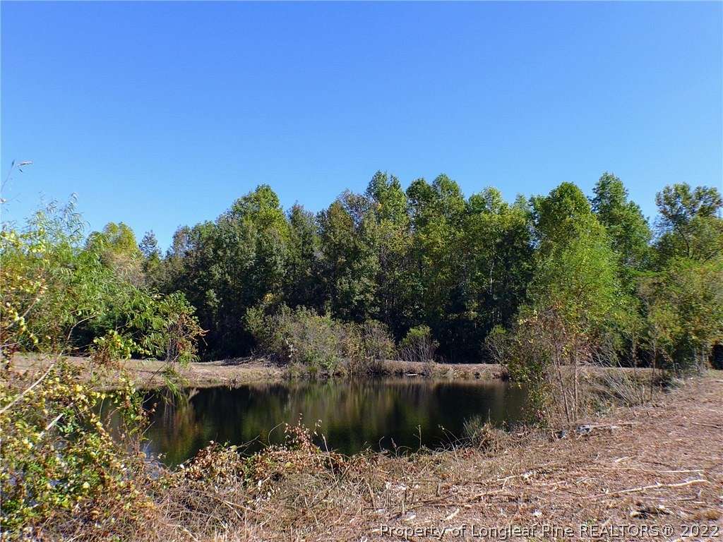 85.6 Acres of Recreational Land for Sale in Dunn, North Carolina