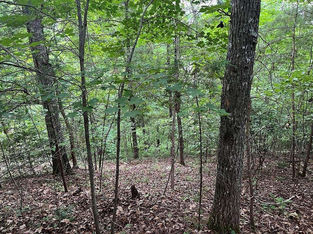 0.85 Acres of Residential Land for Sale in Franklin Township, North Carolina