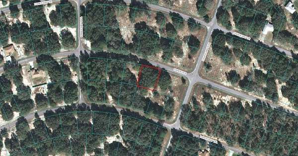 0.29 Acres of Residential Land for Sale in Ocklawaha, Florida