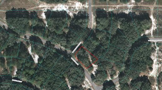 0.26 Acres of Residential Land for Sale in Ocklawaha, Florida