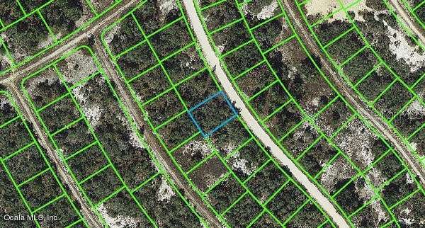 0.27 Acres of Residential Land for Sale in Lake Placid, Florida