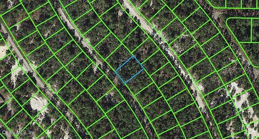 0.24 Acres of Residential Land for Sale in Lake Placid, Florida