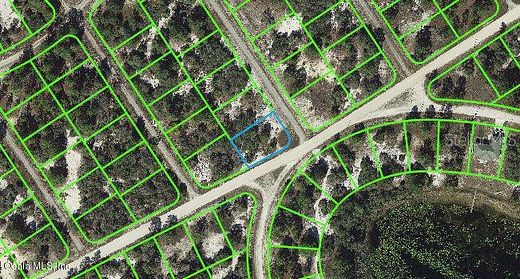 0.24 Acres of Residential Land for Sale in Lake Placid, Florida