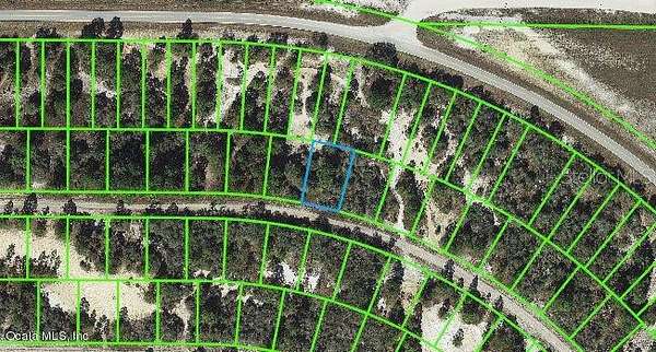 0.23 Acres of Residential Land for Sale in Lake Placid, Florida