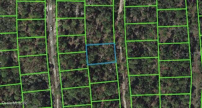 0.24 Acres of Residential Land for Sale in Lake Placid, Florida