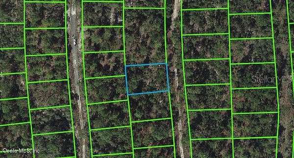 0.24 Acres of Residential Land for Sale in Lake Placid, Florida